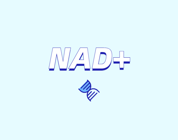 NAD與NMN的全新概念？