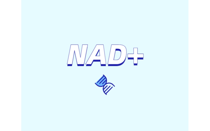 NAD與NMN的全新概念？